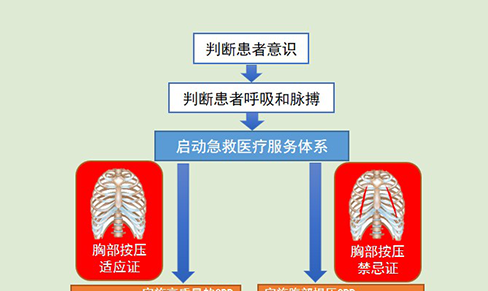“疫”中如遇心搏骤停 可参考初级心肺复苏流程救治 