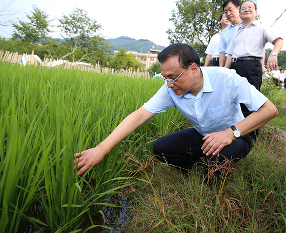 李克强考察江西赣州