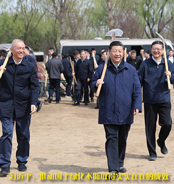 习近平：发扬中华民族爱树植树护树好传统 推动国土绿化不断取得实实在在的成效