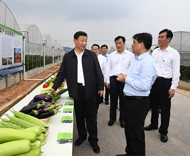 习近平在江西考察并主持召开了推动中部地区崛起工作座谈会 