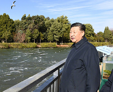 习近平察看滇池生态湿地 