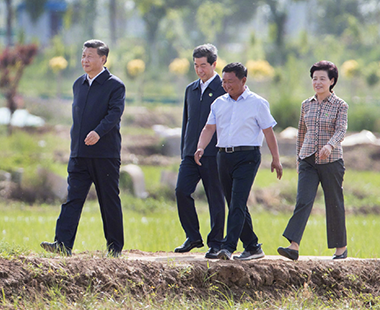 习近平在银川考察调研 