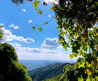 香山行